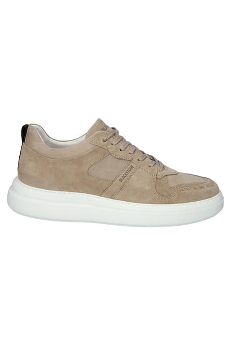 WG70 TAUPE - LOW SNEAKER TAUPE by Blackstone