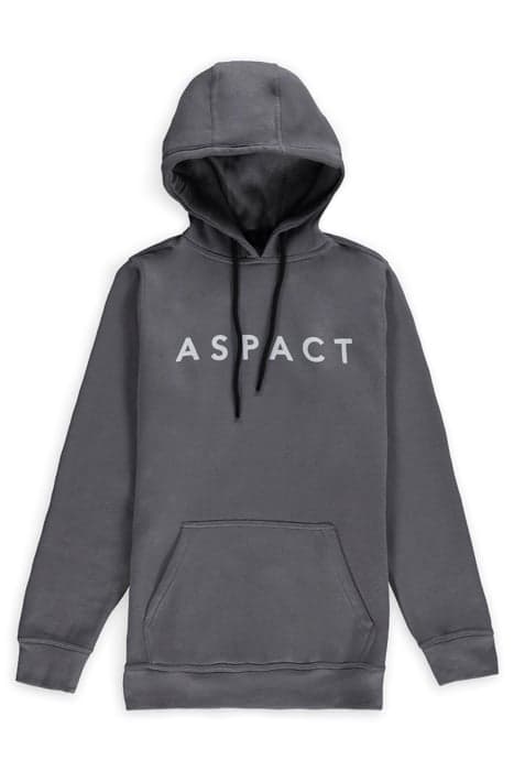 CANNES HOODIE QUICK SILVER by ASPACT