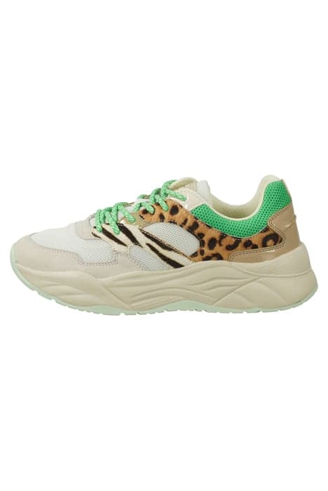 CELEST SNEAKER GREEN ANIMAL PRINT by Scotch & Soda Footwear