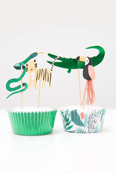 GO WILD CUPCAKE KIT GREEN MLT by White Stuff