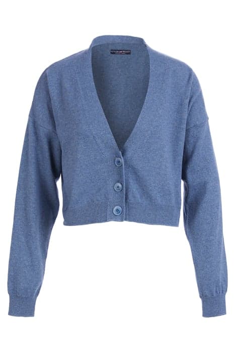 BASIC V-NECK CARDI LS BLUE by River Woods