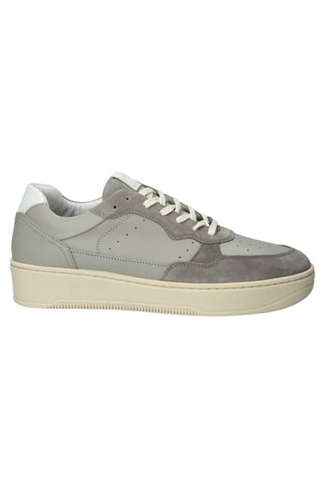 ZG46 GREY - SNEAKER (LOW) by Blackstone