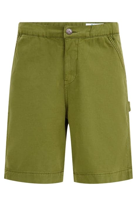 CARGO PANTS GREEN by WE Fashion