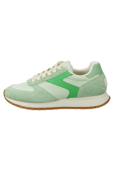 INEZ SNEAKER GREEN MULTI by Scotch & Soda Footwear