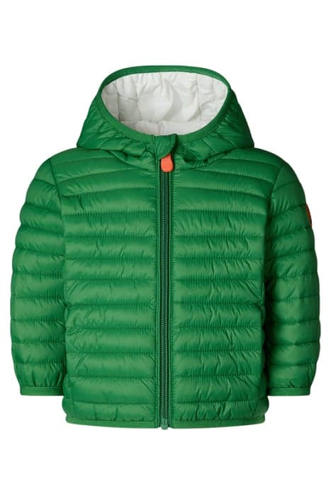 NENE HOODED JACKET RAINFOREST GREEN by Save The Duck