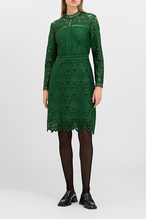 MONA MINI LENGTH LACE DRESS RAINFOREST by Ivy Oak