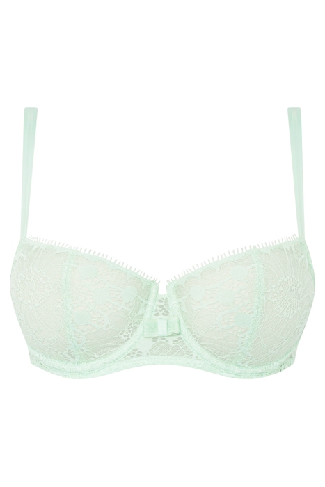 DAY TO NIGHT GREEN LILY 1