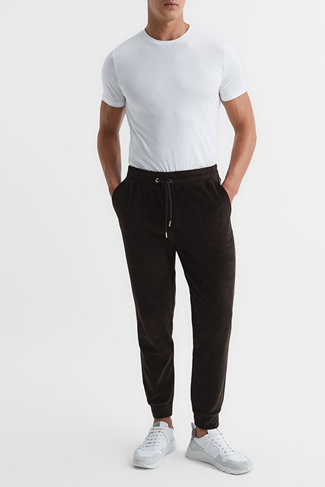 CARDINAL CHOCOLATE 3