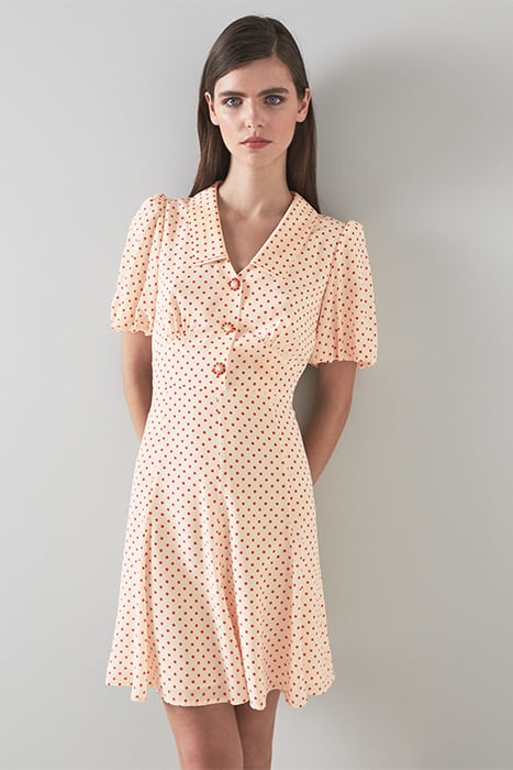 DR HILDE - 30'S SPOT PRIN MULTI 1