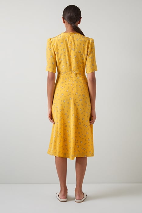 DR MONTANA YELLOW DAISY YELLOW 2