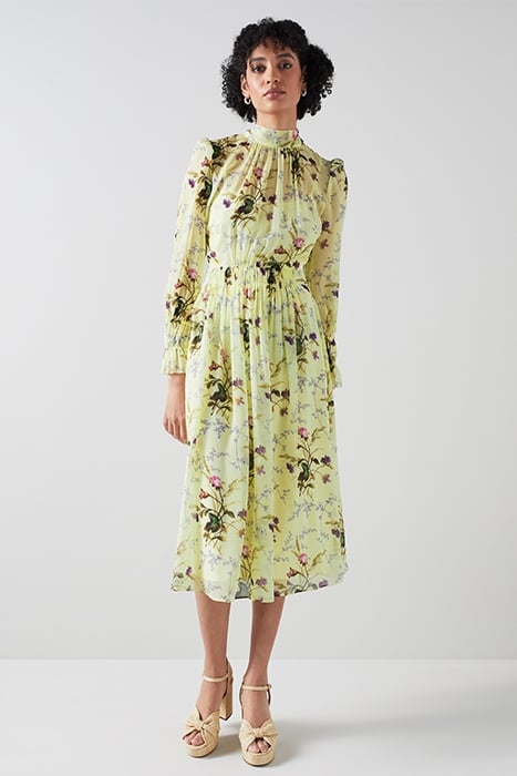 DR ELOISE - MEADOW SCENE MULTI 2