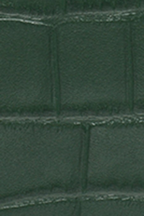 SIDNEY PASSPORT CASE GIANNI GRN 6