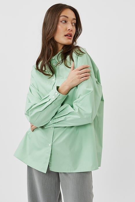 LUCCALIS 9558 HEMLOCK 1