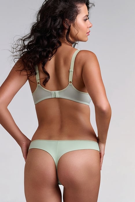 LUCKY CLOVER GREEN CLOVER GOLD 2