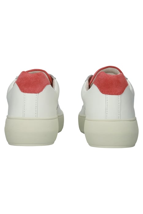 MARLY - BL223 WHITE BEGONIA - SNEAKER (LOW) WHITE BEGONIA 4