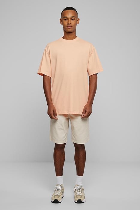 ORGANIC SKATER CHINO SHORTS CLOUD 3