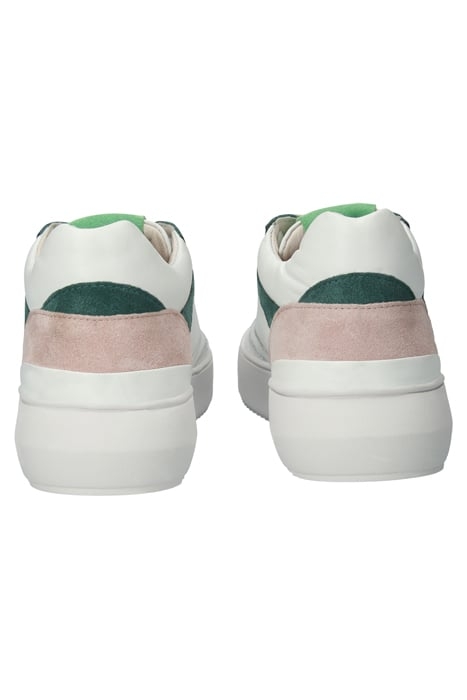 DAPHNE - BL229 WHITE PINE - SNEAKER (MID) 8