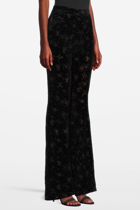 WOMEN‘S VELVET DEVORÉE PANTS BLACK 099 3