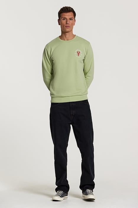 SWEATER LOBSTER BEACH FADED MINT GREEN 5