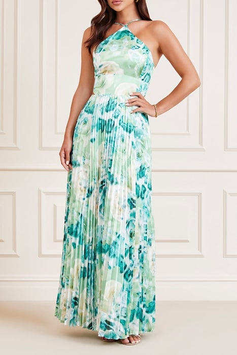 BLOOMBURST FLORAL ROSES BOUQUET MAXI DRESS PRINT 1