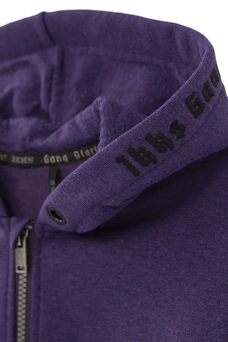 BOYS’ VIOLET EMBROIDERED SWEATSHIRT FABRIC HOODED CARDIGAN 4