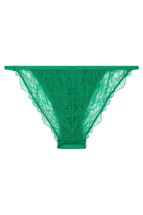 WILD ROSE BRIEF GREEN 2
