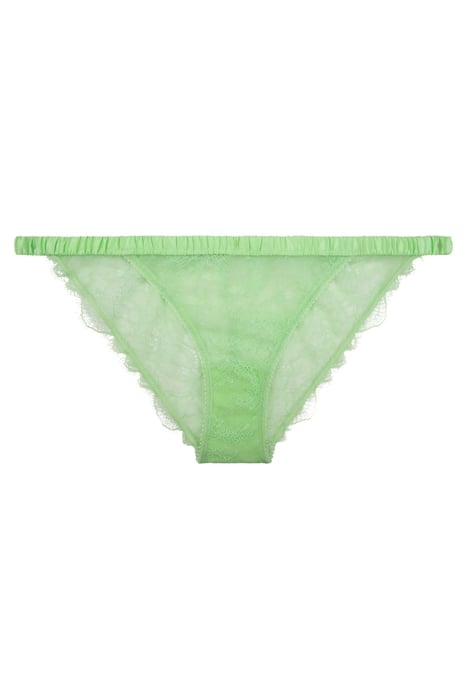 WILD ROSE BRIEF LIME 1