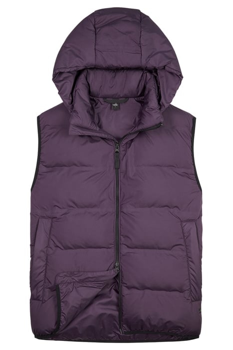 COLT | TECH PUFFER VEST ROYAL PURPLE 1