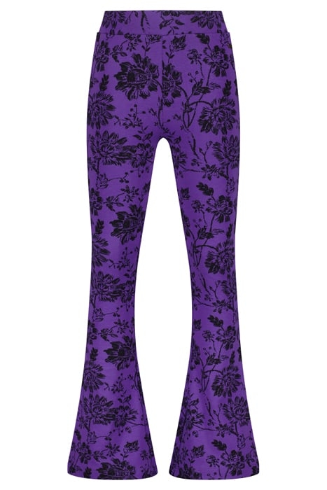 SUZA PASSION PURPLE 1